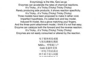 第一次爱的人英文歌词 第一次爱的人英文歌词