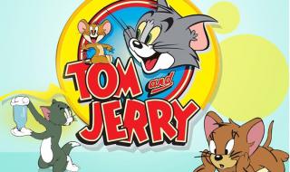 动画片猫和老鼠东北版 动画片猫和老鼠东北版