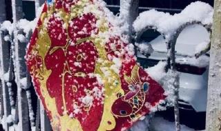 虎年开工第一天多地下大雪 虎年开工第一天多地下大雪