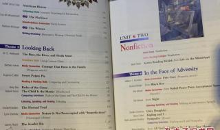 reader是什么意思中文 reader是什么意思中文