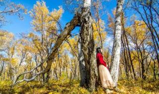 满洲里一天旅游攻略 满洲里一天旅游攻略