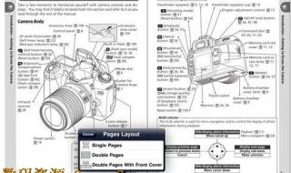 reader是什么意思中文 reader是什么意思中文