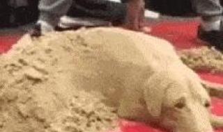 尔滨再掏几下就只剩滨了 尔滨再掏几下就只剩滨了