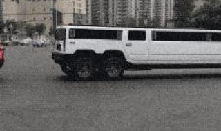 尔滨再掏几下就只剩滨了 尔滨再掏几下就只剩滨了