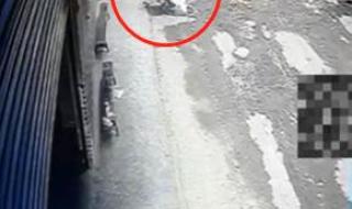 3岁女童家门口玩耍被野猴拖 女童玩耍时被野猴拖走