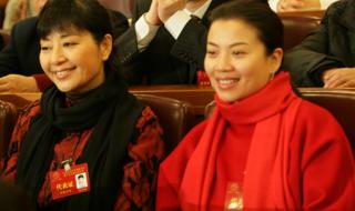 殷秀梅是哪里人 殷秀梅简历及个人资料 殷秀梅是哪里人 殷秀梅简历及个人资料