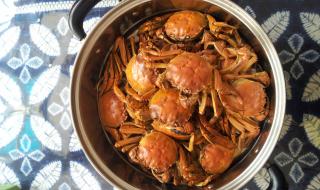 无肠公子是哪种动物 无肠公子是哪种动物